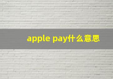 apple pay什么意思